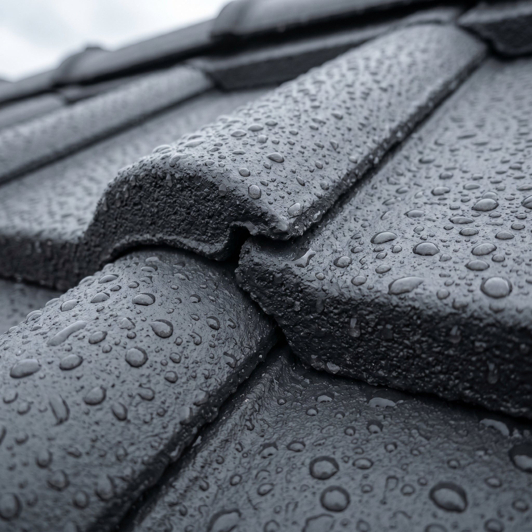 Étanchéité de toiture plate
en caoutchouc liquide — sans joint et étanche à la pluie en 6 h